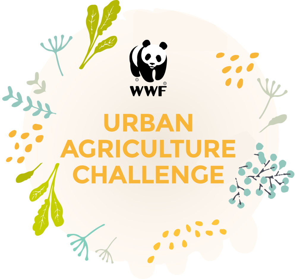 wwf-challenge.png